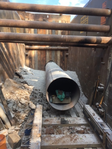 IMG_0024 Midwest Mole employees in action