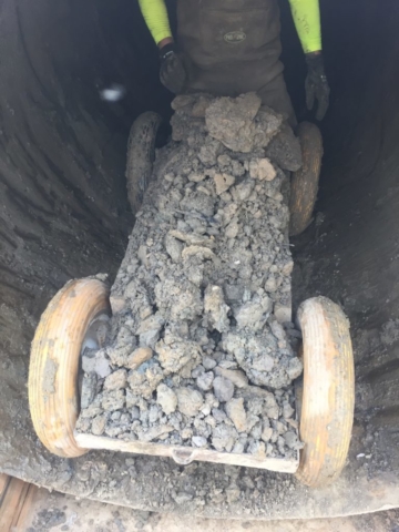 IMG_0281 Midwest Mole employees in action